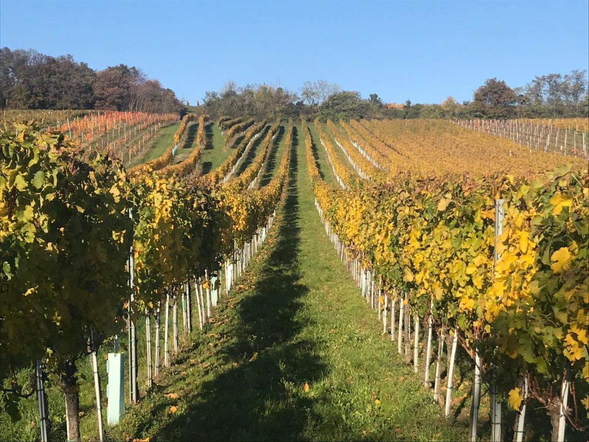 Weingut & Gastezimmer Edelmann Göttlesbrunn Exteriör bild
