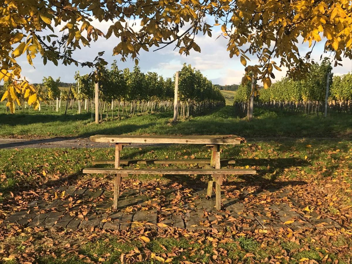 Weingut & Gastezimmer Edelmann Göttlesbrunn Exteriör bild
