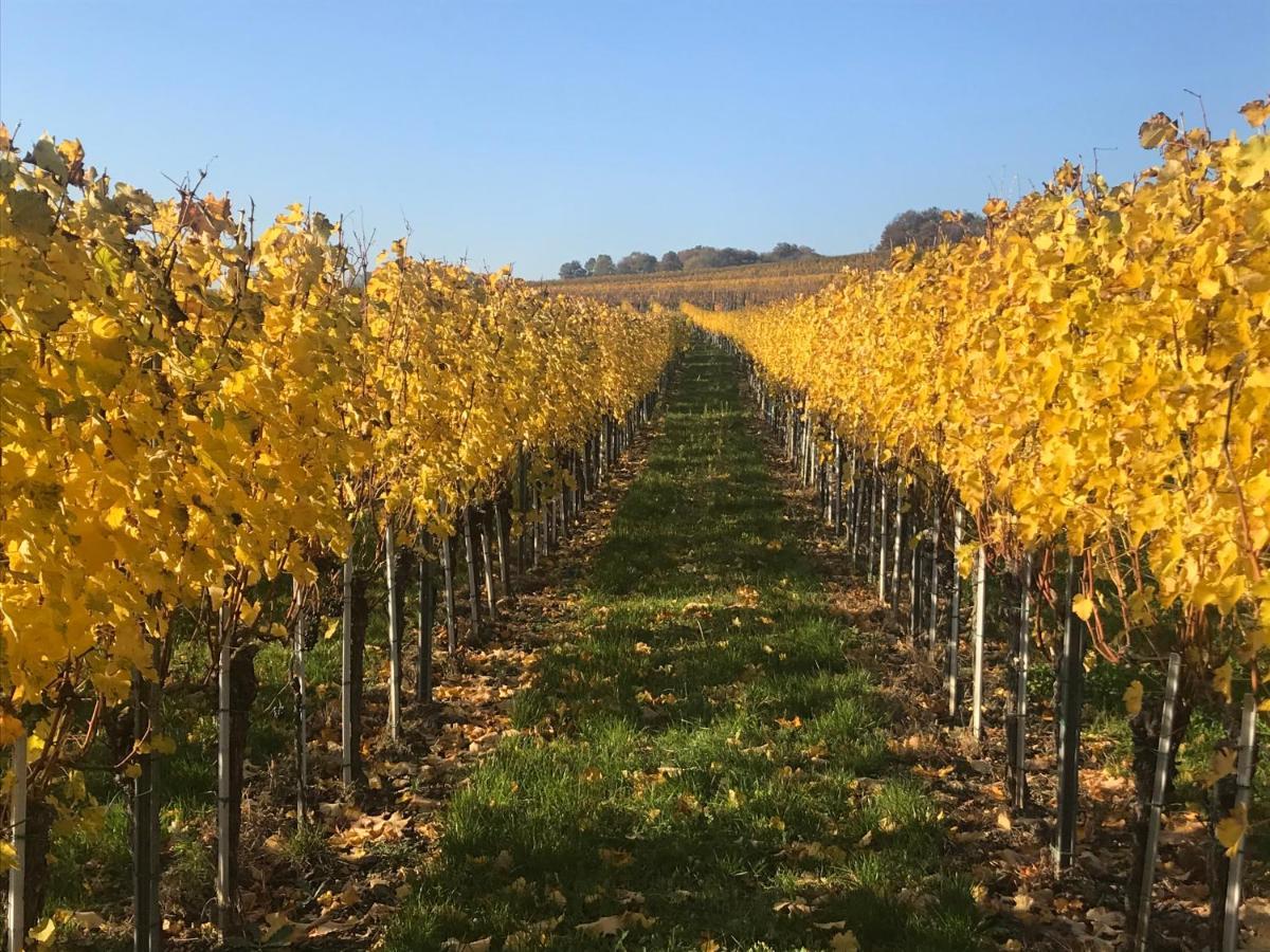 Weingut & Gastezimmer Edelmann Göttlesbrunn Exteriör bild