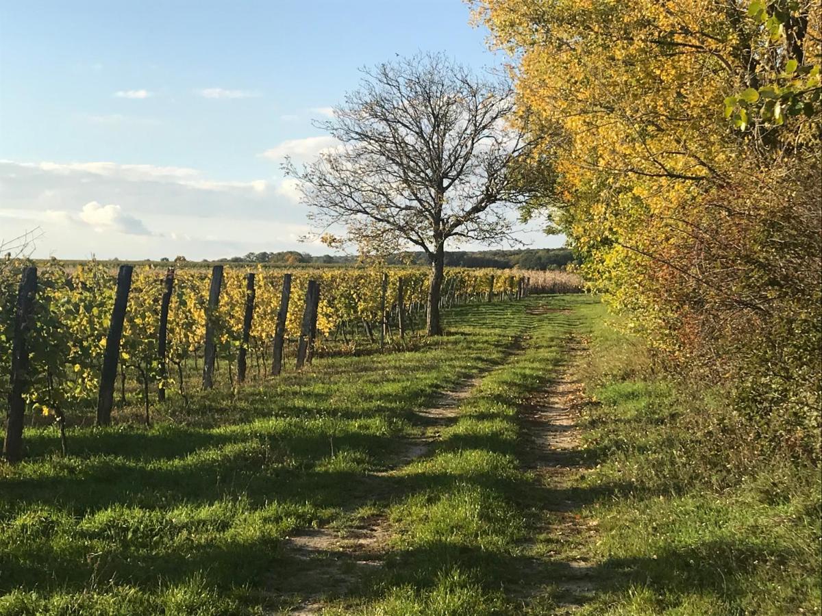Weingut & Gastezimmer Edelmann Göttlesbrunn Exteriör bild